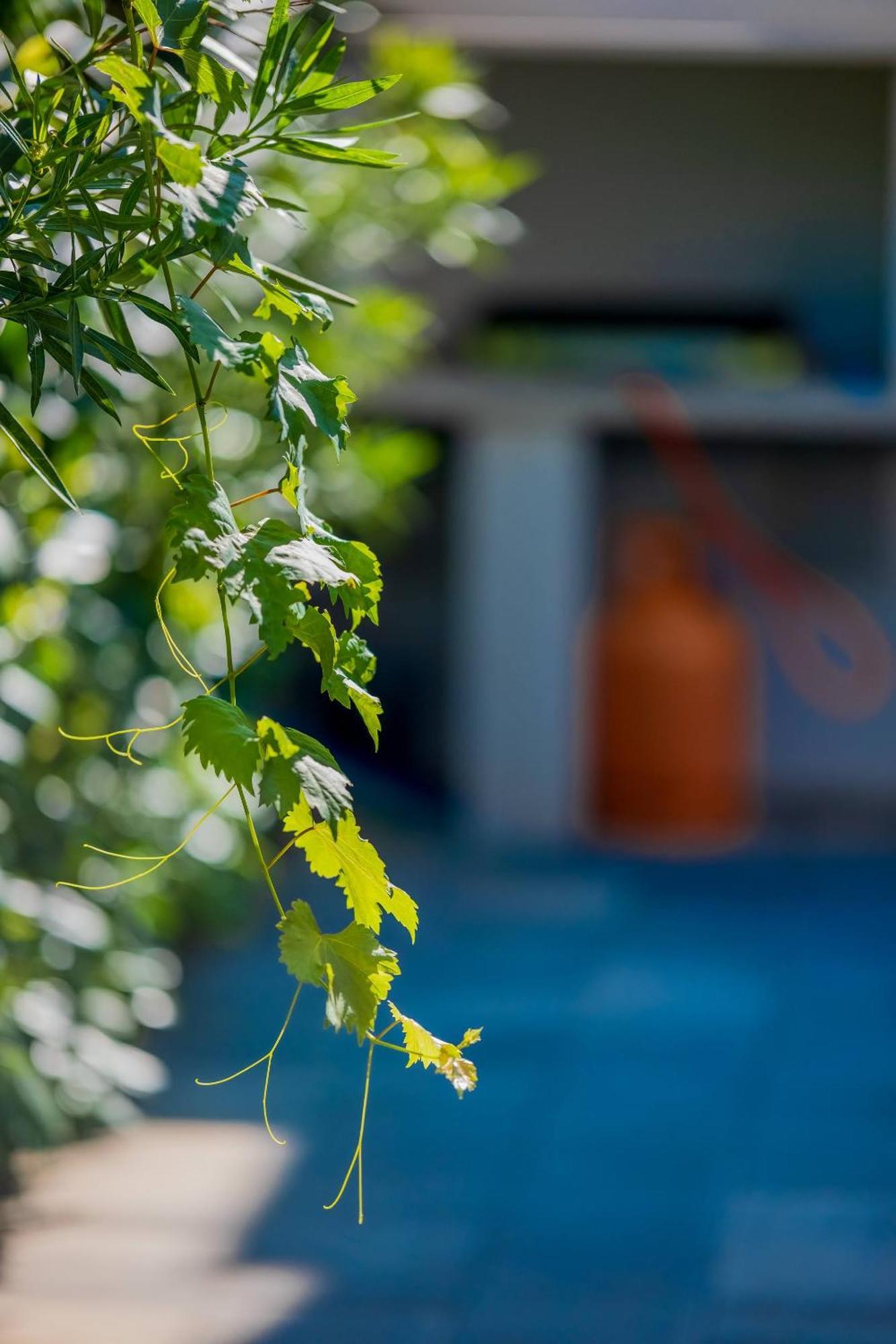 Villa Essenza - Luksuzne Kuce Za Odmor Vodice Buitenkant foto